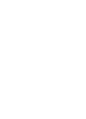 left-main